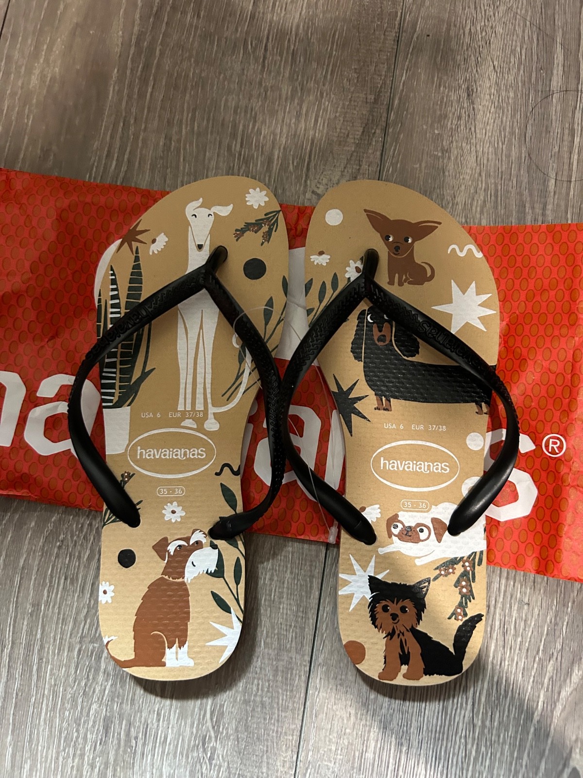 Havaianas Flip Flop Size 6 Never Worn