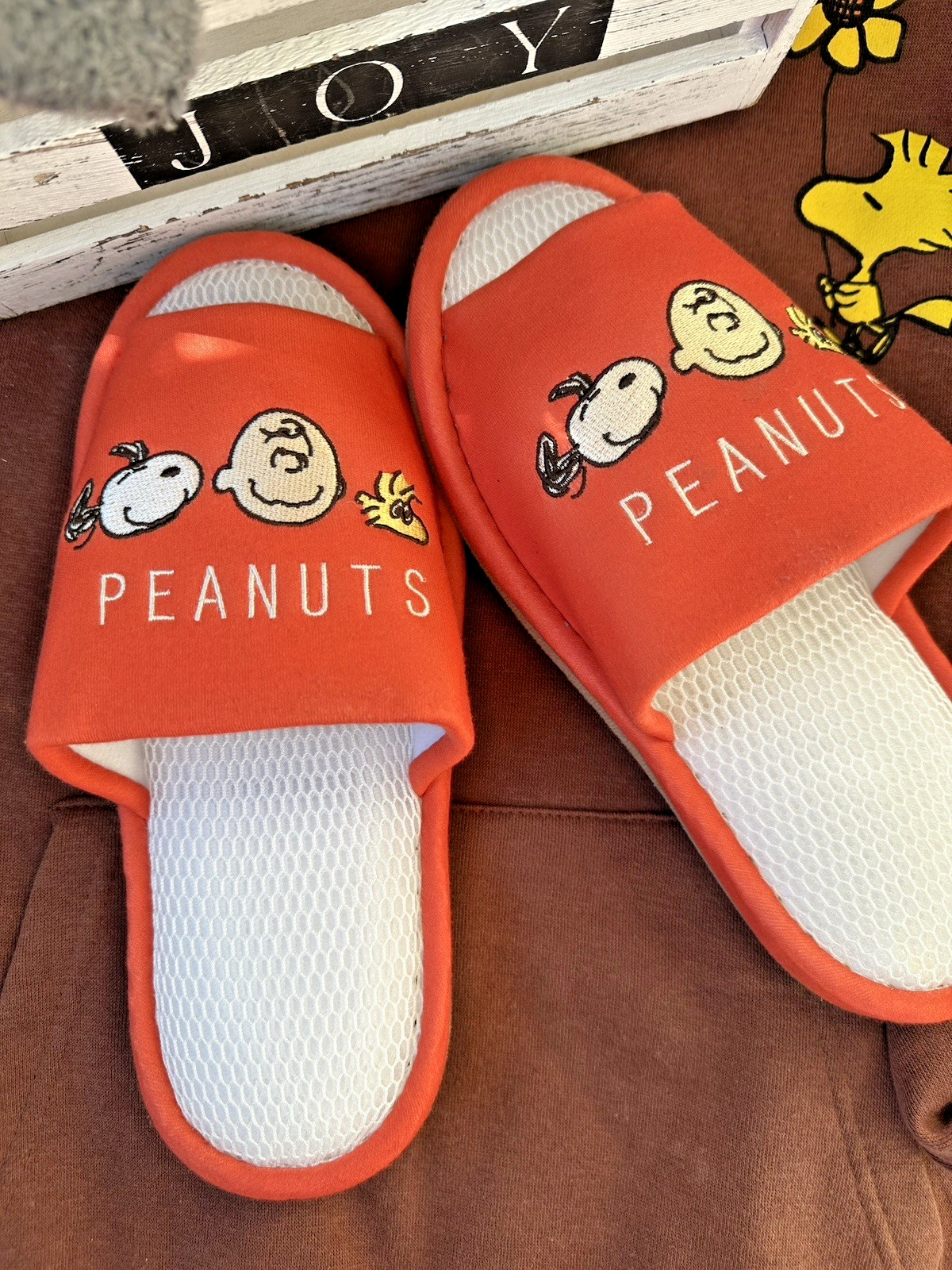 Peanuts Snoopy House Slippers Unisex M/L US 9-10 Cozy Indoor Shoes Japan