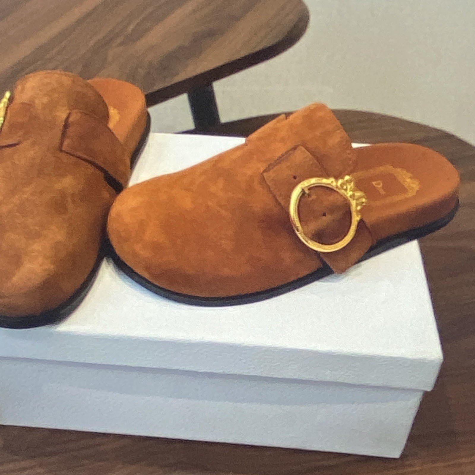 Dior Women’s Brown Suede Slide Sandals Slip-On Flat Buckle Accent size 39