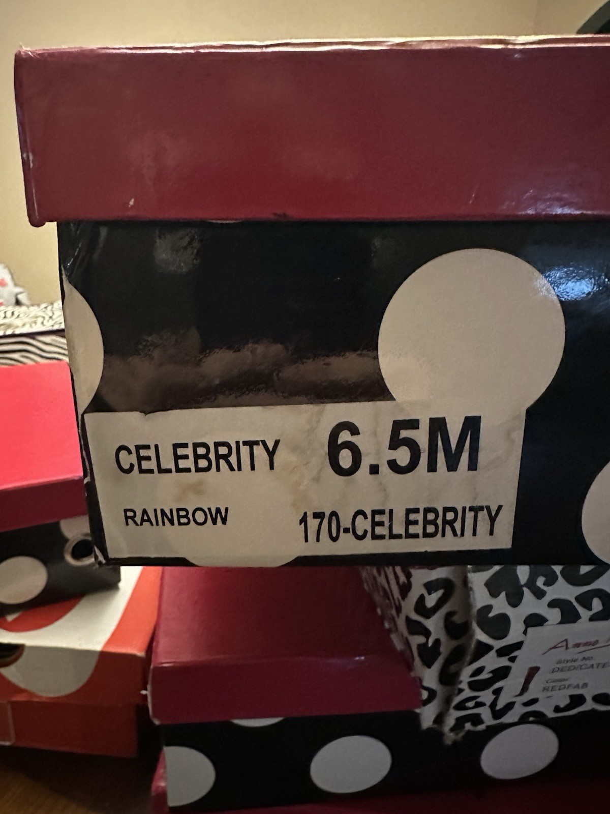 Totally Wicked by Nelly Bernal Celebrity Boot -Item #170- Rainbow