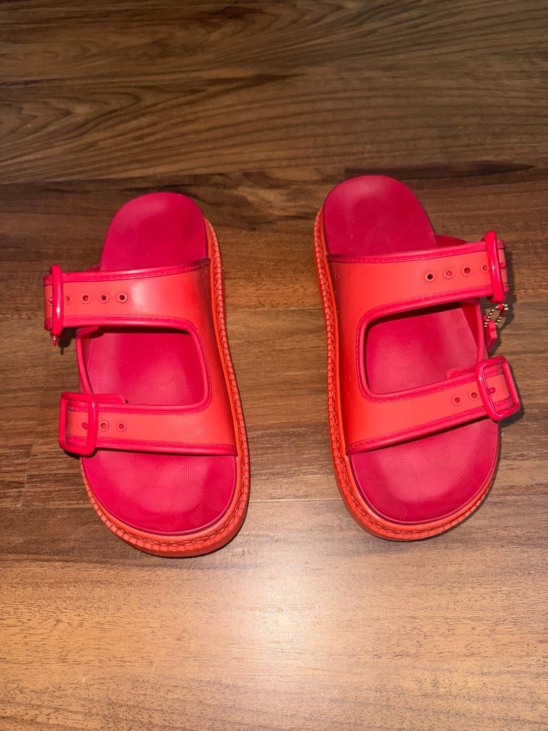 Coach Lucy Platform Rubber Sandal