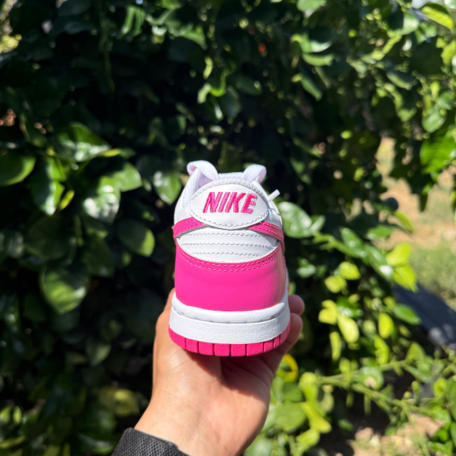 Nike Dunk Low Laser Fuchsia Pink GS / Women Sizes FB9109-102 New! Fast Ship!