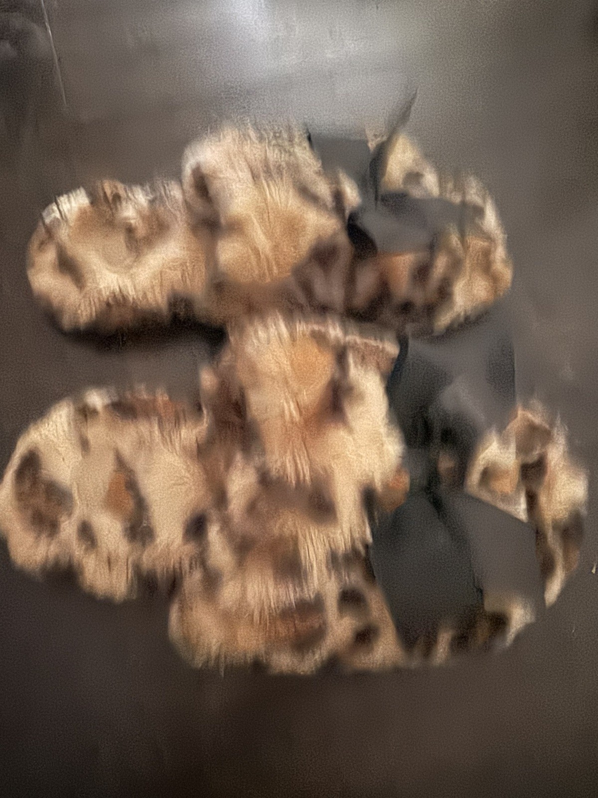 NWOT Anthropologie Maeve Faux Fur Open Toe Bow Slippers Leopard Size Medium 8-9