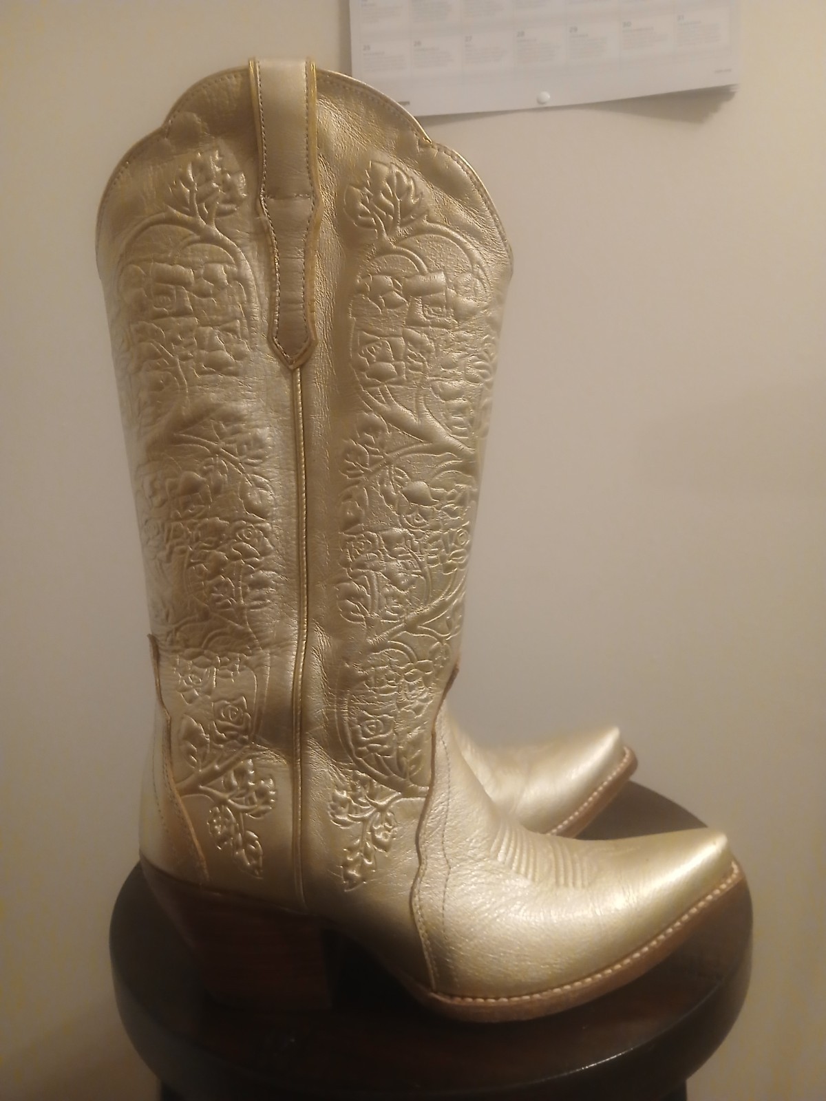 ariat western platinum boot