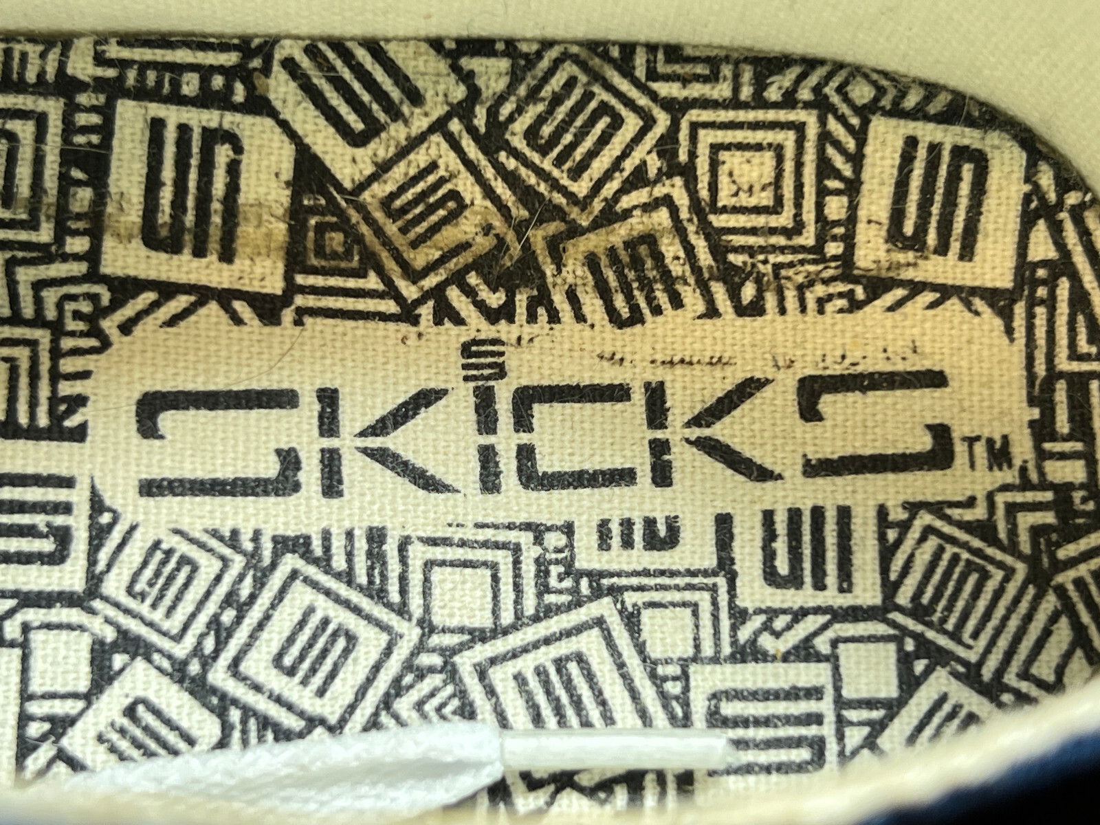 SKICKS University of Michigan Low Canvas Skate Sneakers Maize & Blue Women Sz 8M