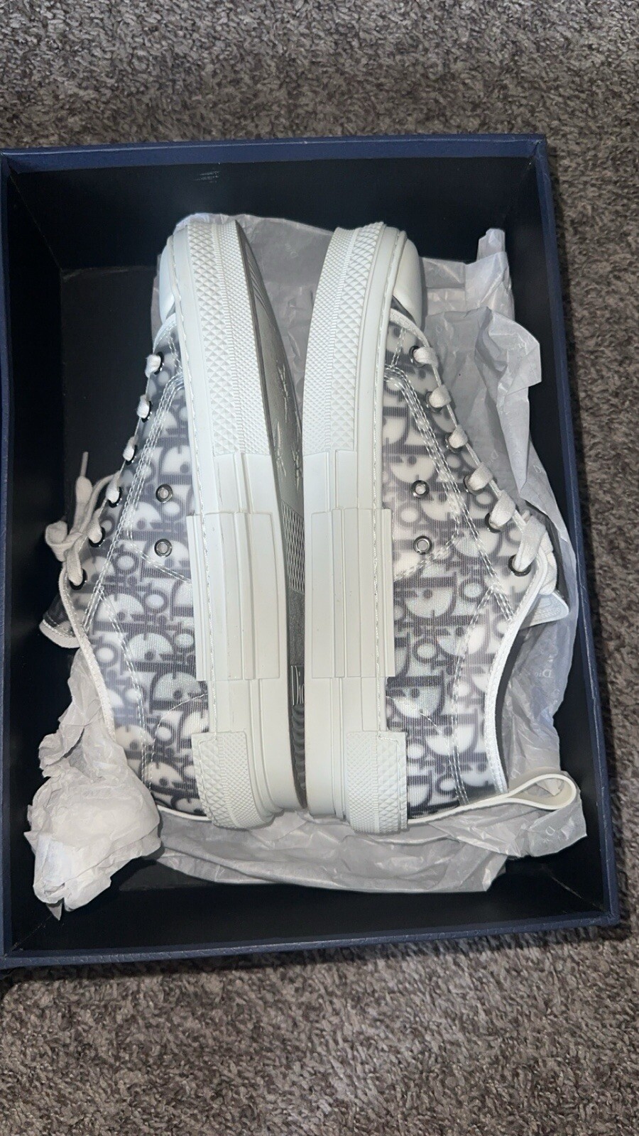 DIOR B23 Low-Top