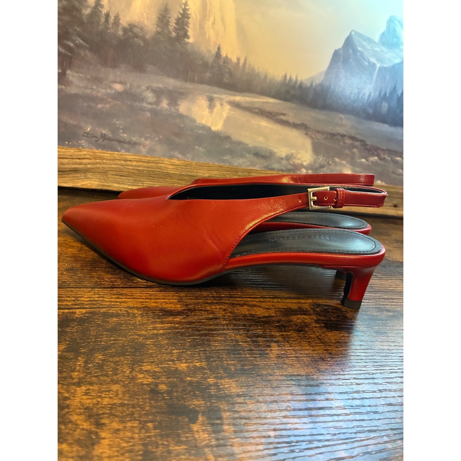 Beautiful Deep Red Pointed Toe Slingback Kitten Heels Pumps Size 7