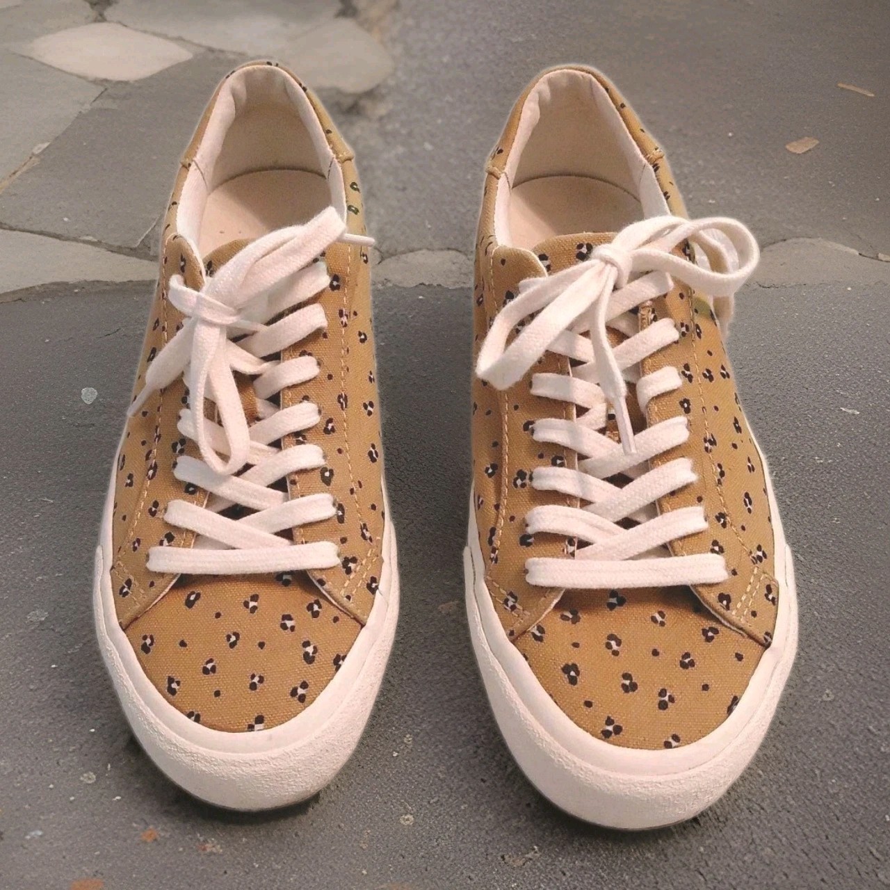 MWL /Madewell Sidewalk Low Top Sneakers Mini Leopard Print Size 6.5, Excellent
