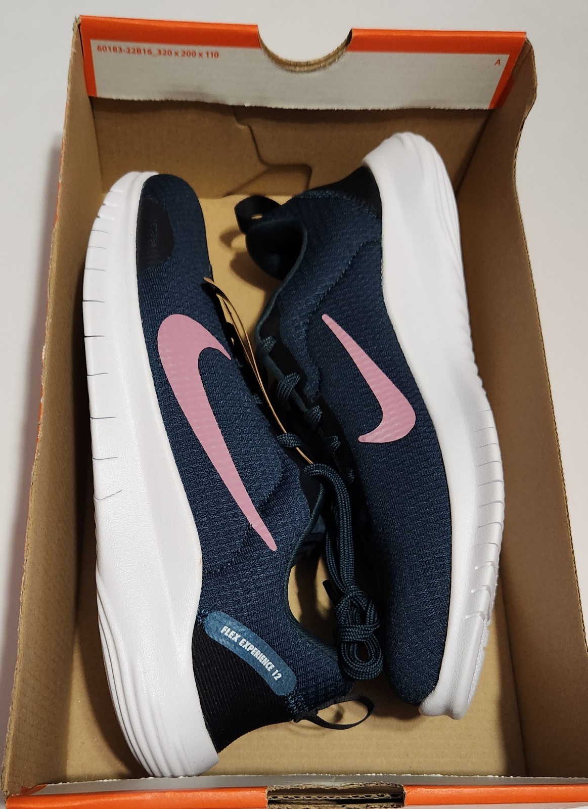 Nike Flex Experience Run 12 DV0746-401 Women’s Blue Running Shoes DDK1039 Sz 7.5