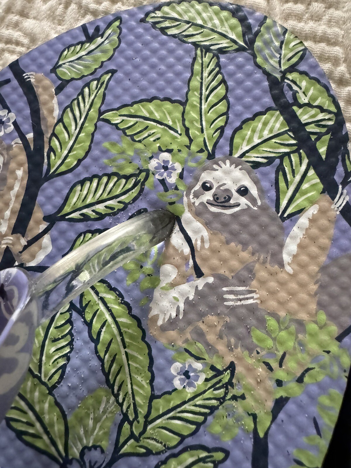 Vera Bradley Women’s Sloth Hanging Around Flip Flop Sandals Large 9-10 Purple