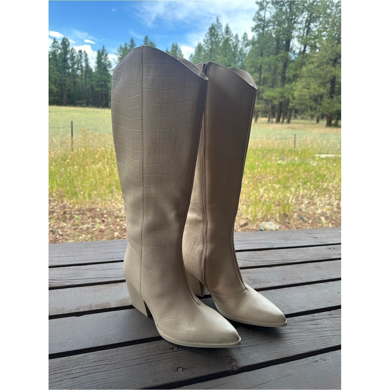 Seychelles Begging You Pointed Toe Croc Embossed Cream Leather Boots New!