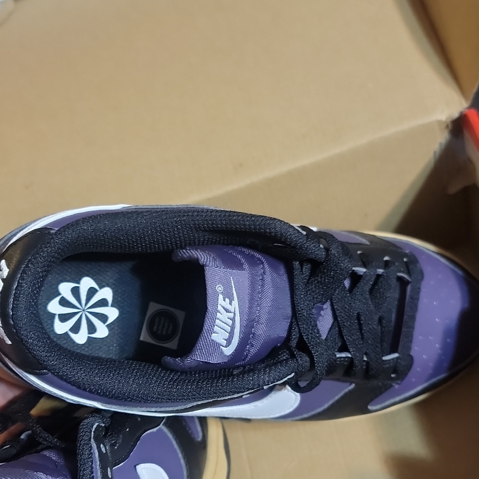 Nike Dunk Low Next Nature W Women’s Sneakers Dark Raisin White Black DD1873-500