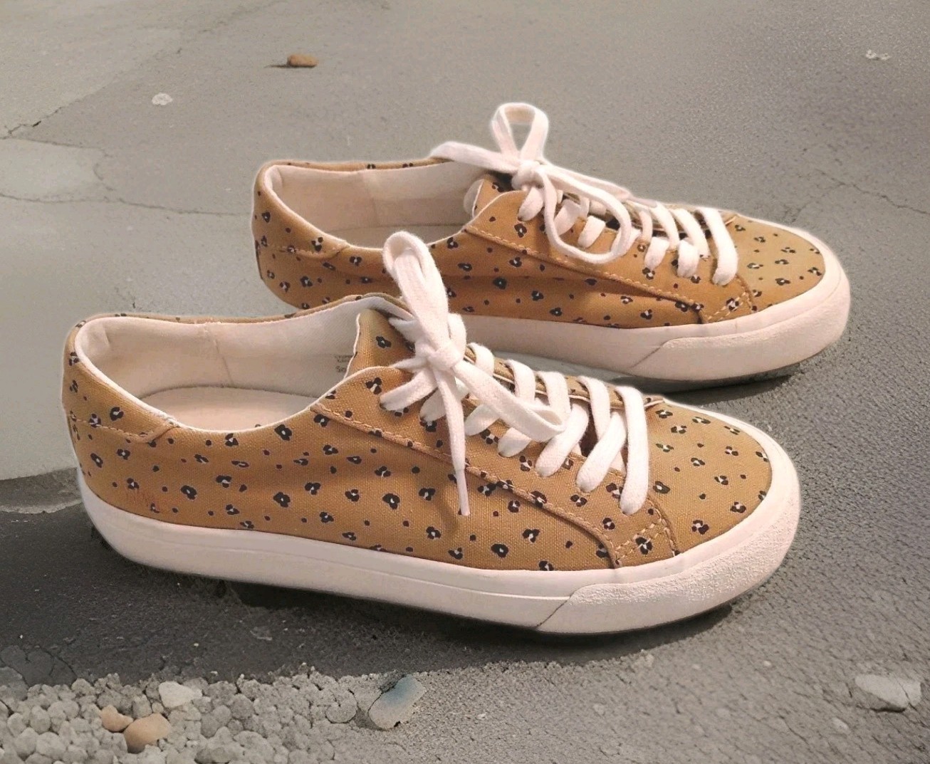 MWL /Madewell Sidewalk Low Top Sneakers Mini Leopard Print Size 6.5, Excellent