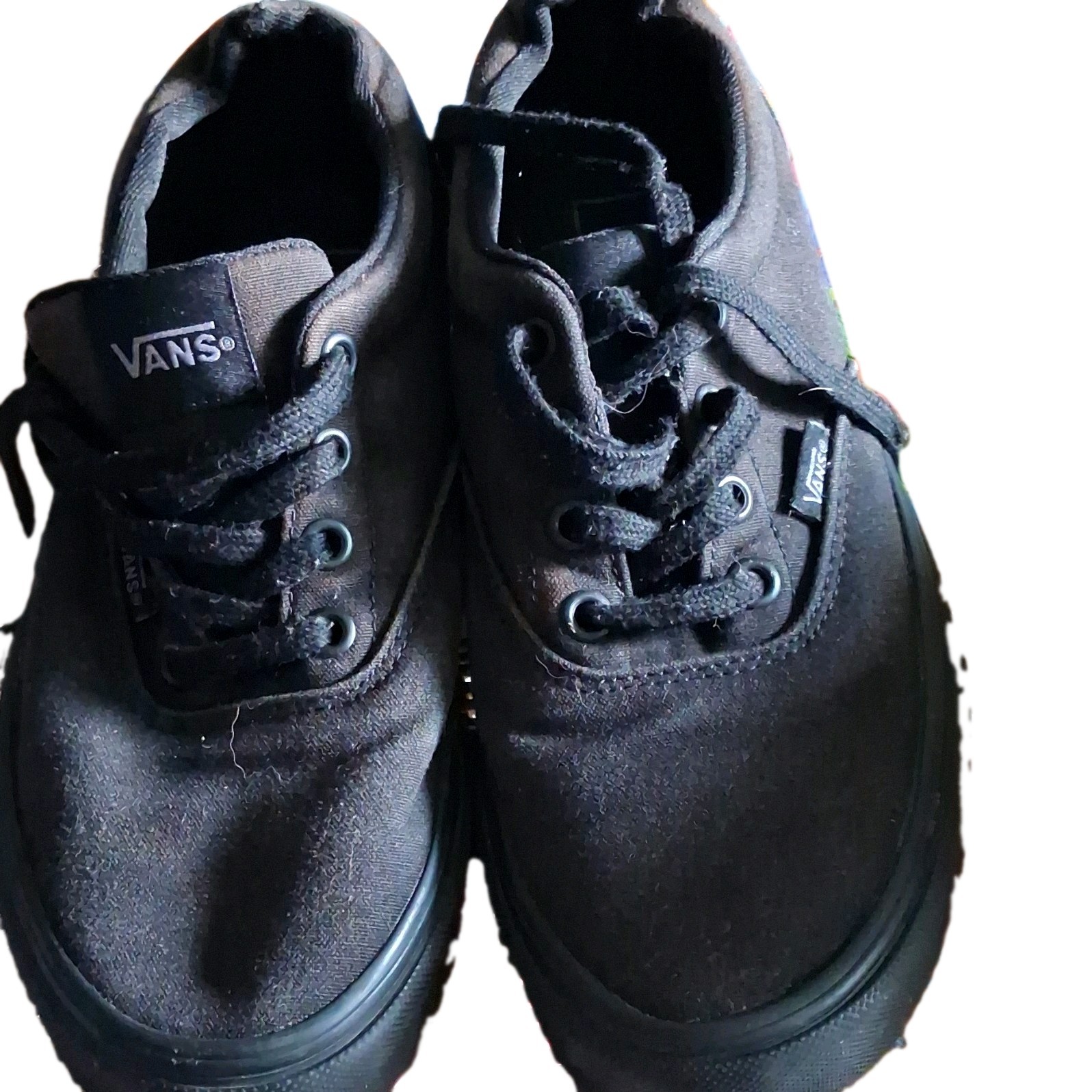 VANS Women’s Lace-Up Low Top Athletic Sneakers Black Rubber Outsole