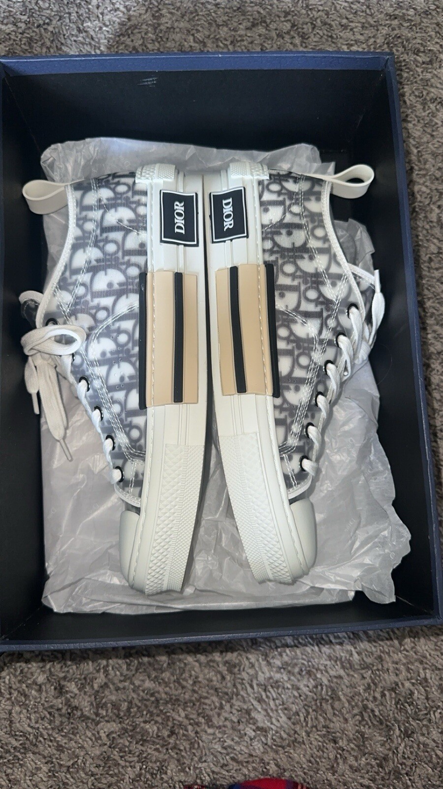 DIOR B23 Low-Top