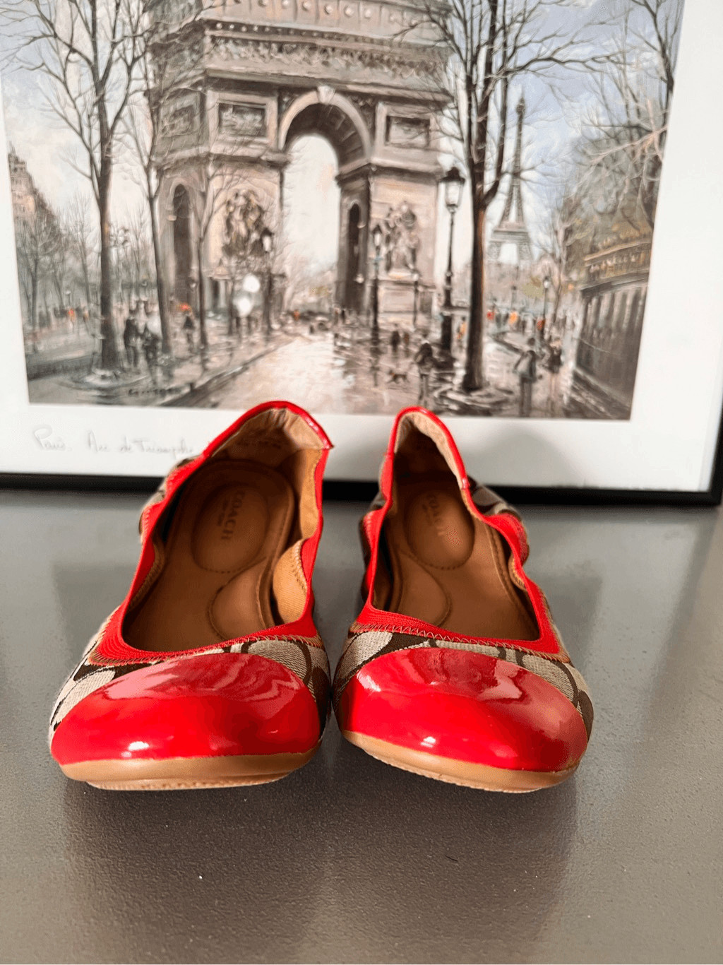Coach Wanda Ballerina Flat
