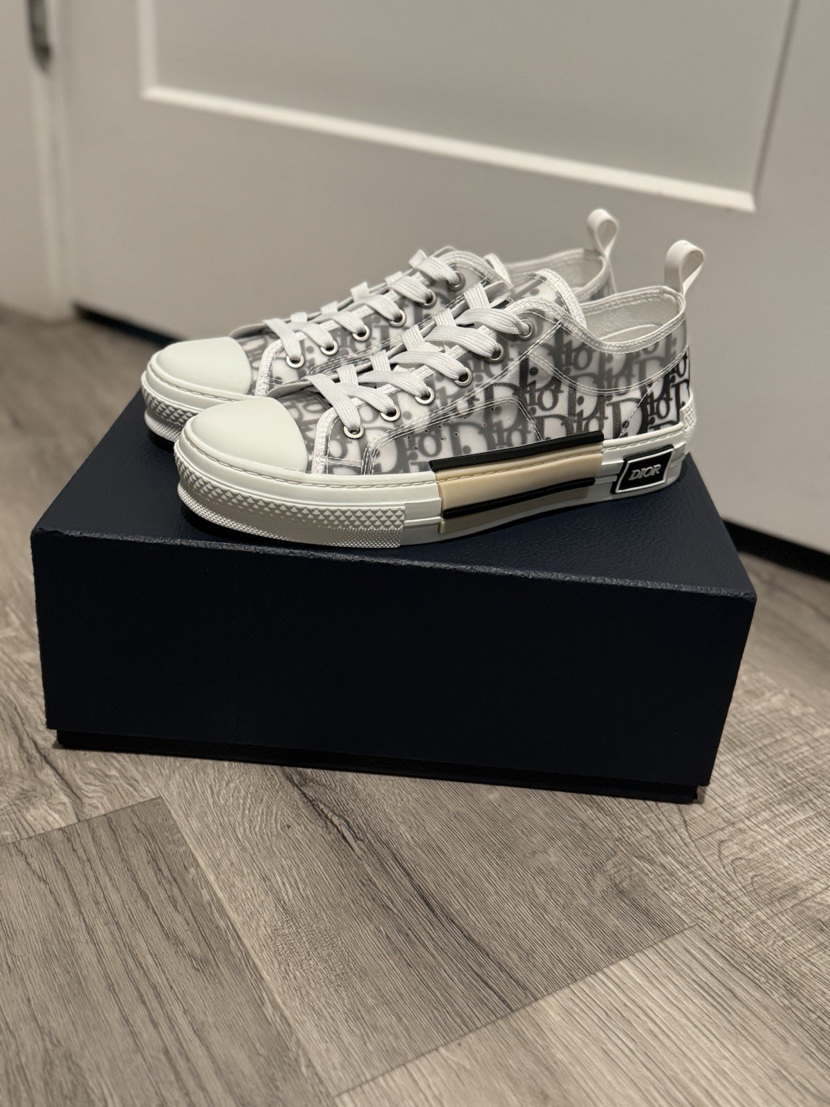 Christian Dior B23 Low Oblique