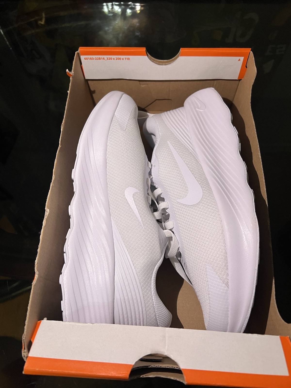 Nike Promina Women’s Low Top Mesh Sneakers White/White Lace Up FV6343-100