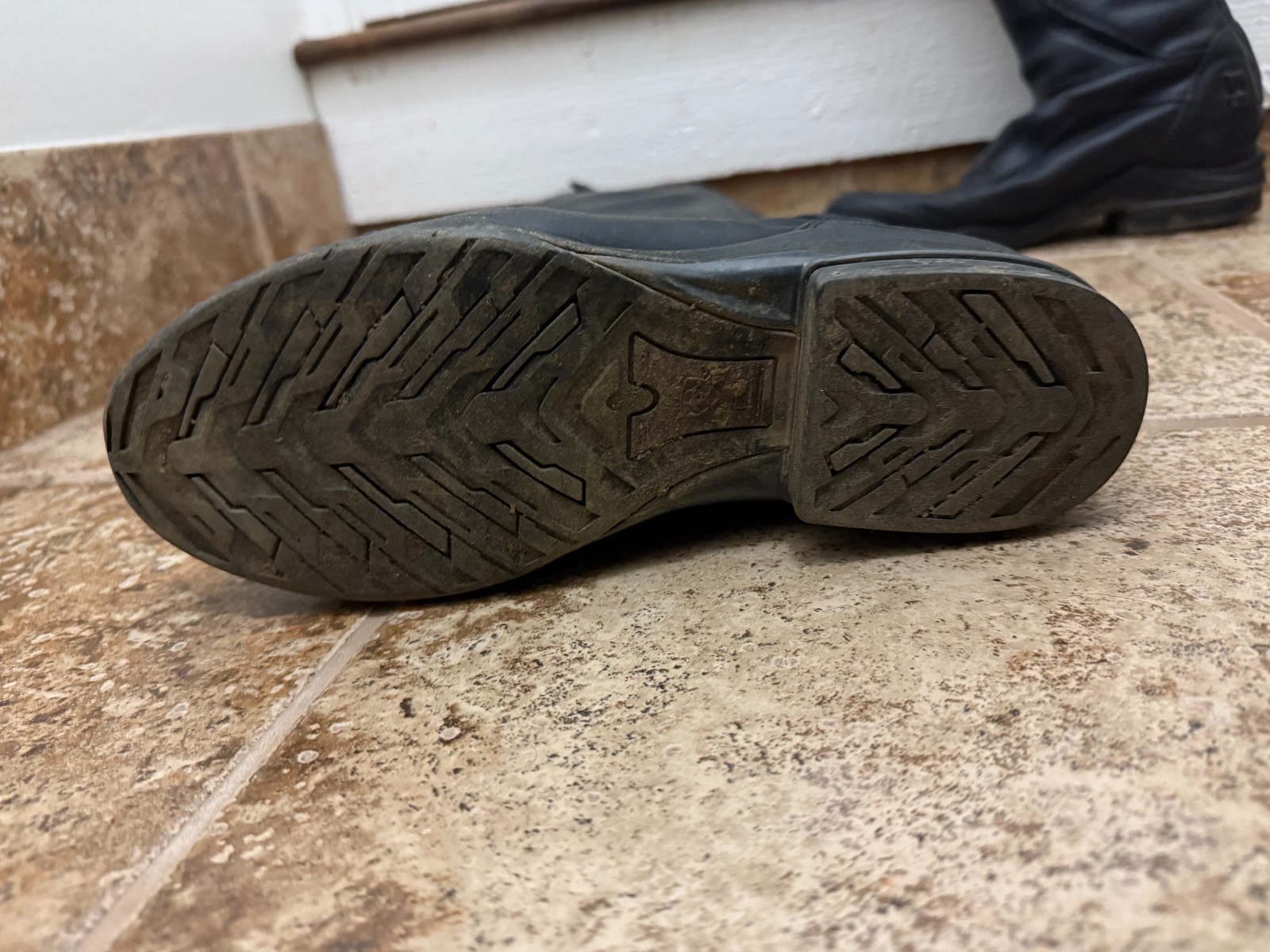 Ariat V Sport Boots Sz 9.5 / Calf Regular/ Width B Medium / Height Medium