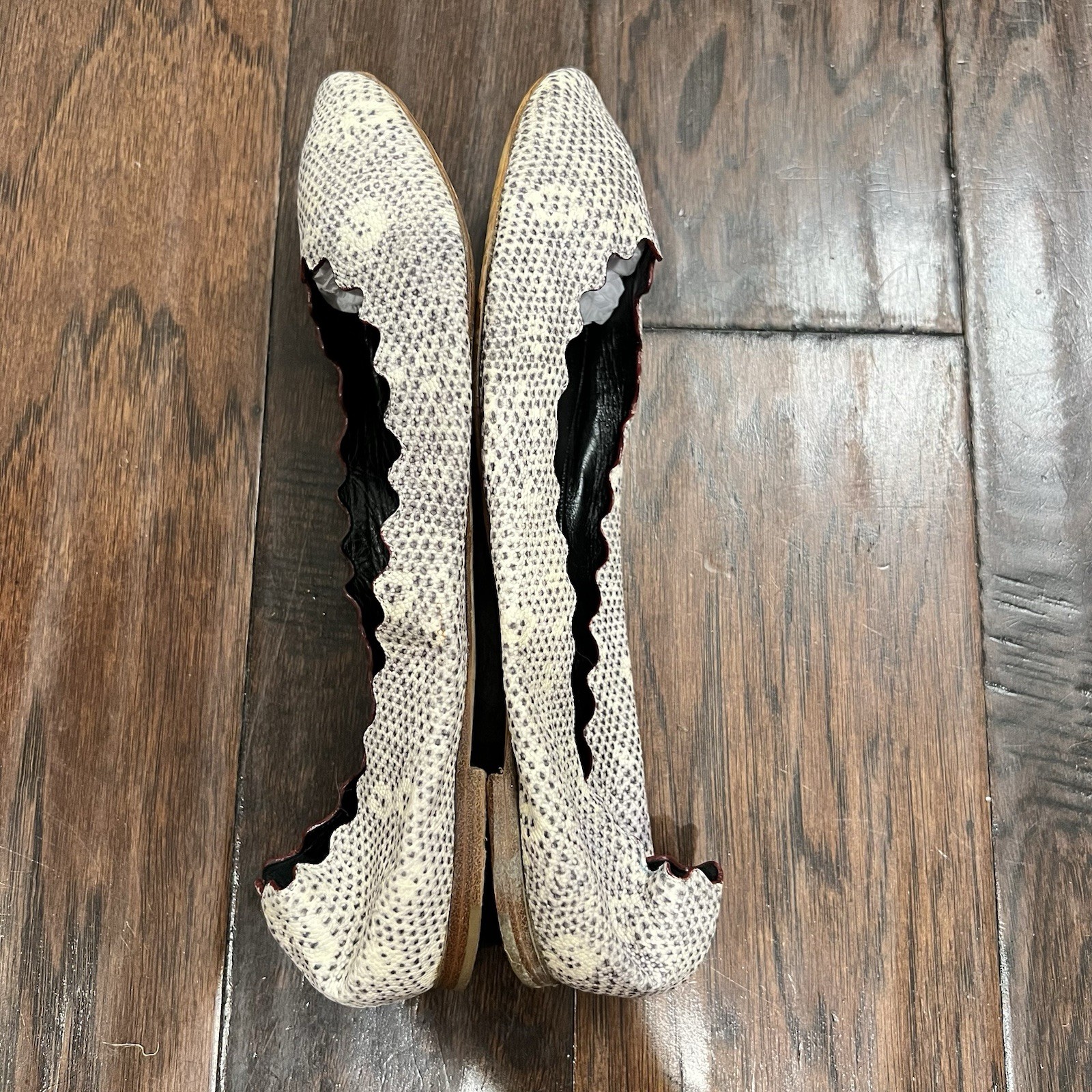 Chloé Lauren Python White/Grey Snakeskin-Embossed Leather