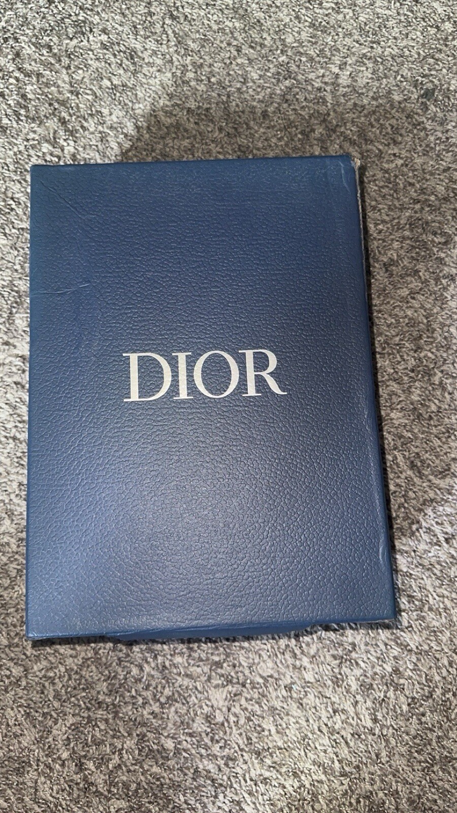 DIOR B23 Low-Top