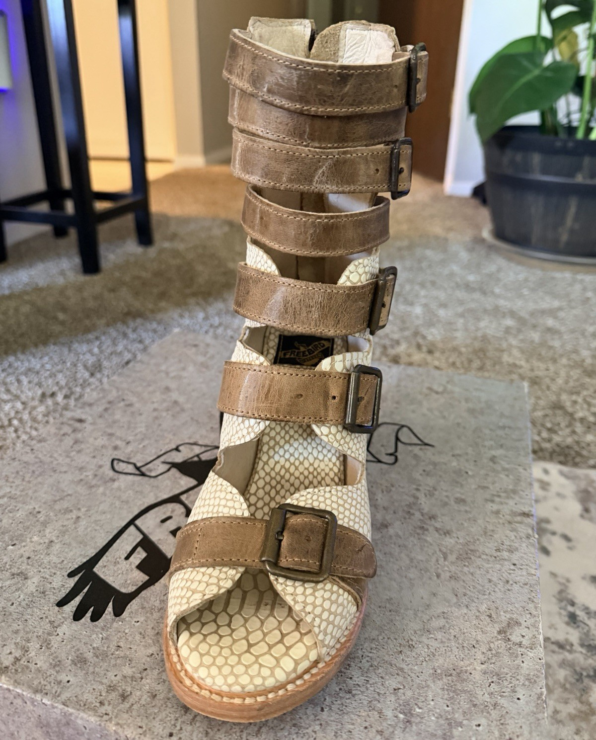 Freebird by Steven Womens Gladiator Snake Print Leather Buckle Sandals 7