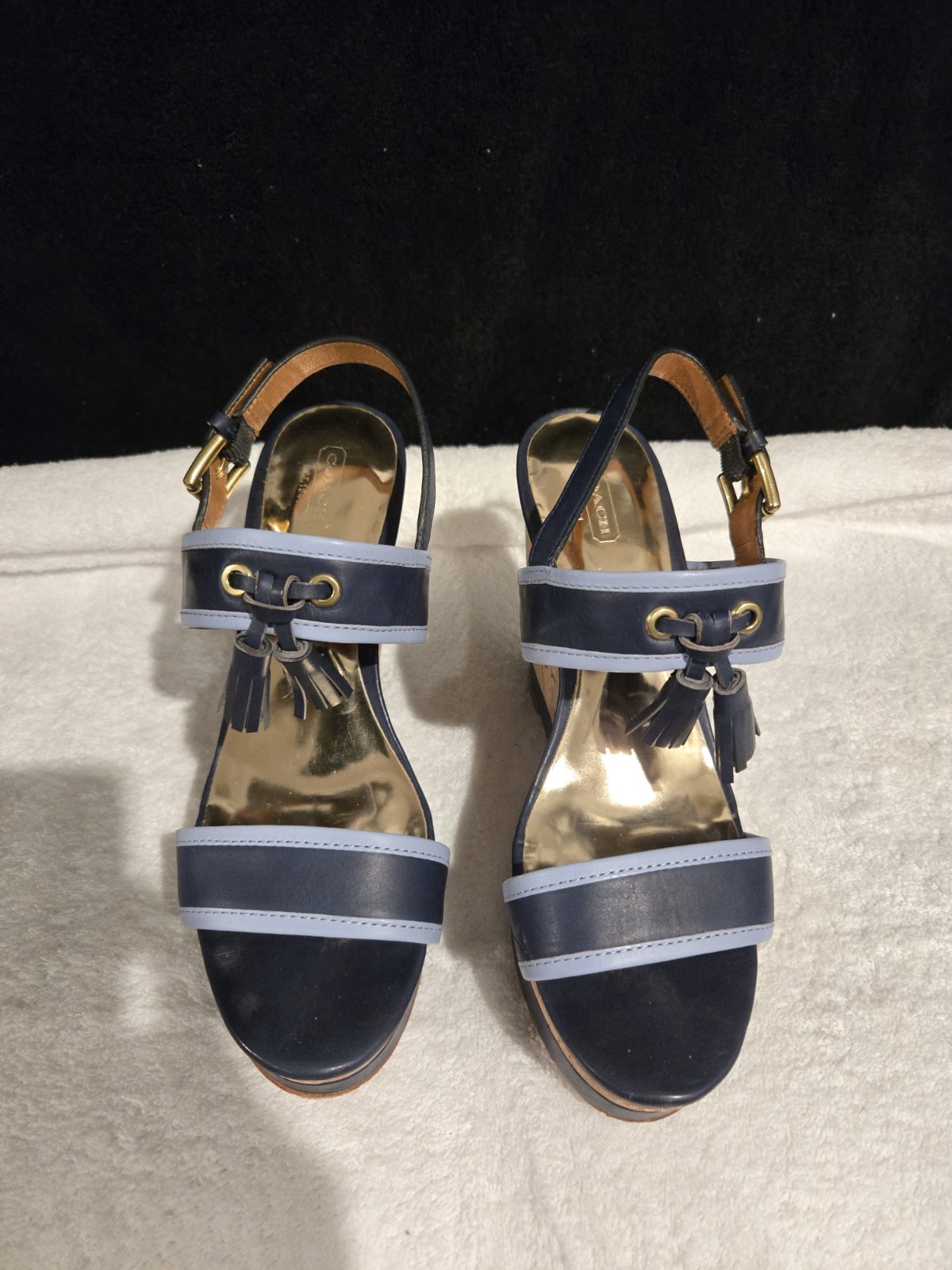 Coach Navy & Sky Blue Leather Strap Sandals Size 9.5 US