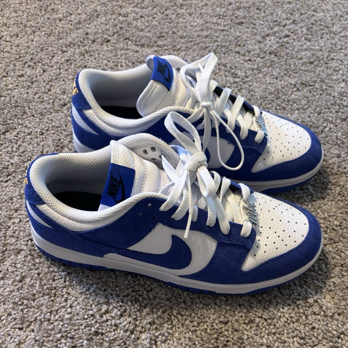 Nike women’s or Men’s Blue/White Colorblock Low Top Lace-Up FJ2253-901