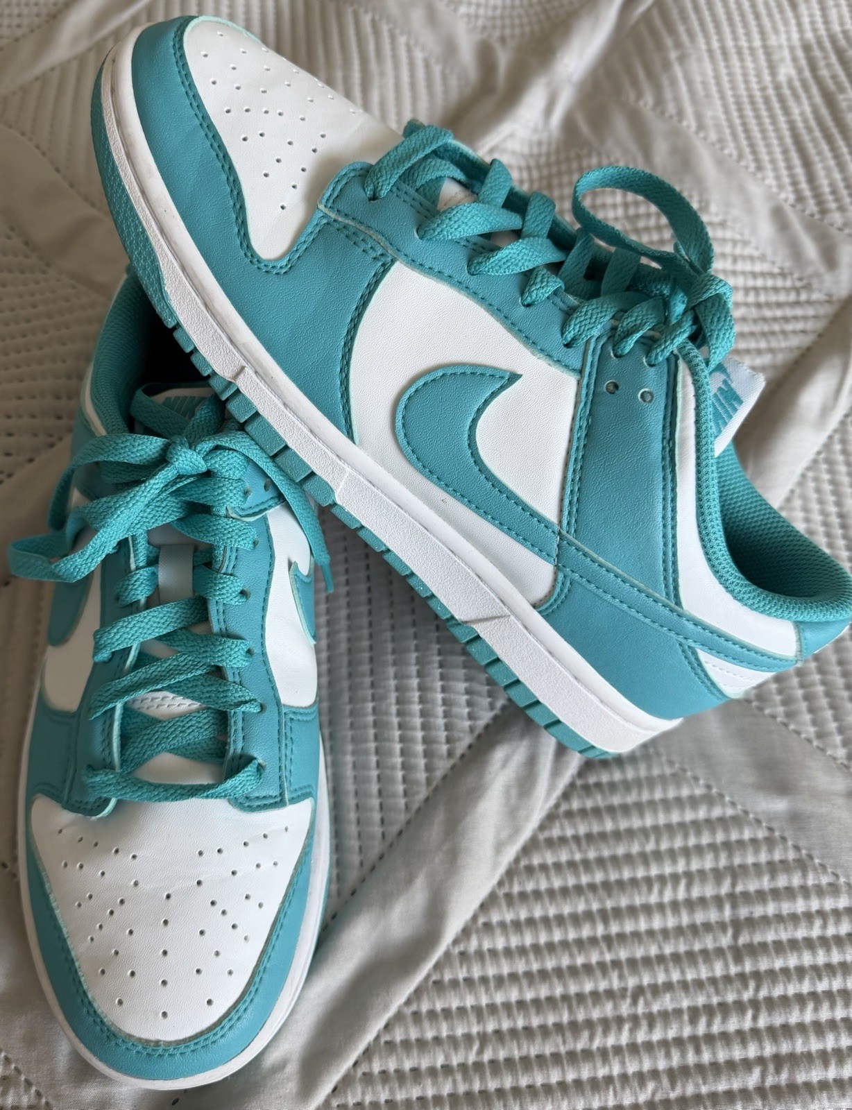 Nike Dunk Next Nature Low DD1873-101 Move To Zero Sail Ivory Leather Sneaker