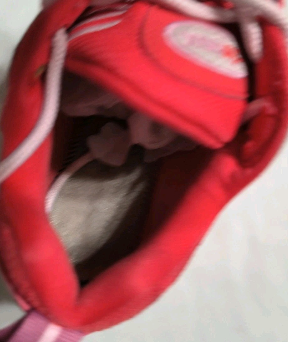 Nike Air Max 98 Valentine’s Day Pink Red White CI3709-600 Women’s Size 7 See Pic