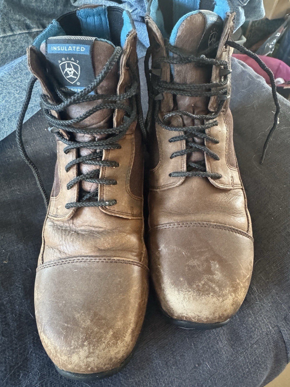 Ariat Insulated Riding Boot