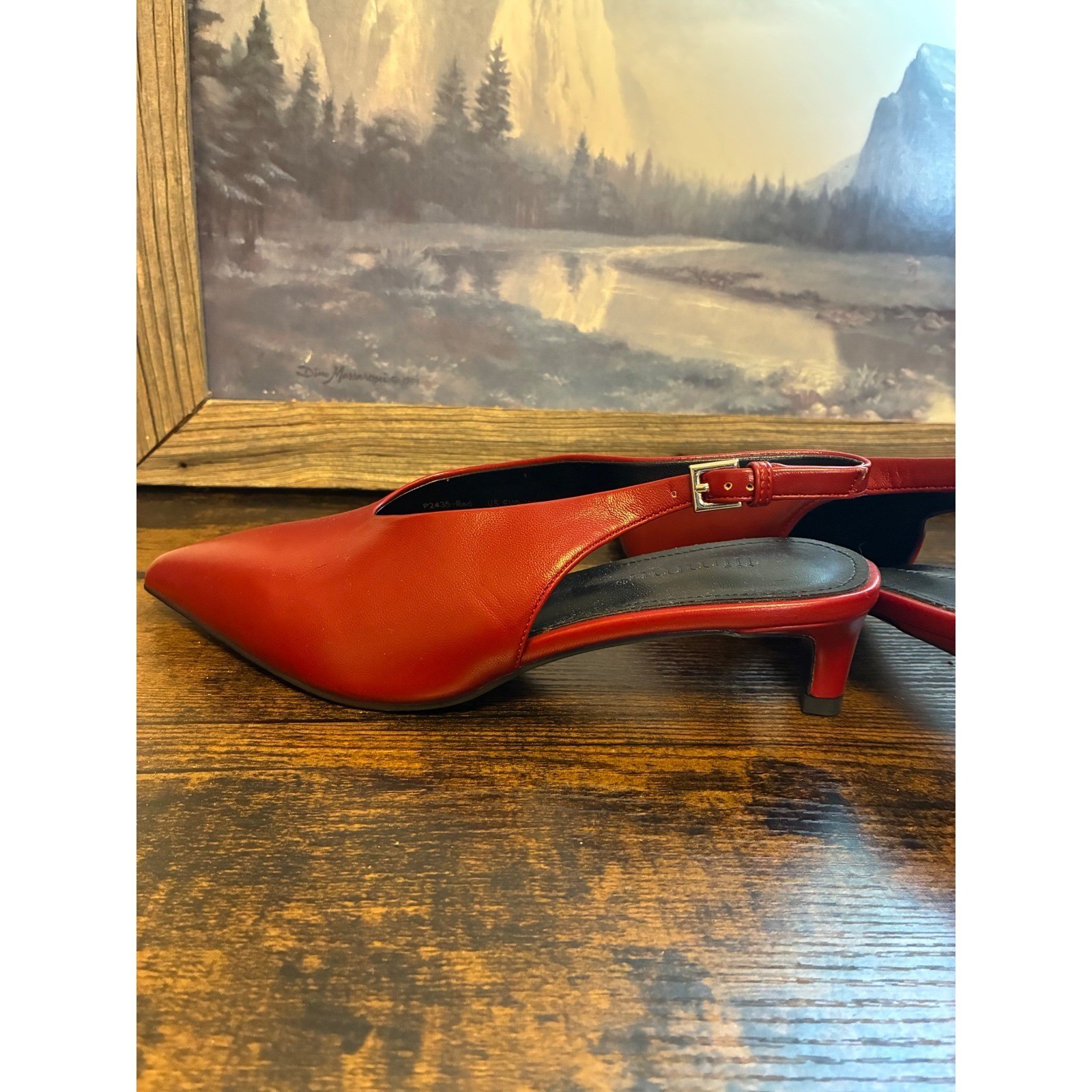 Beautiful Deep Red Pointed Toe Slingback Kitten Heels Pumps Size 7
