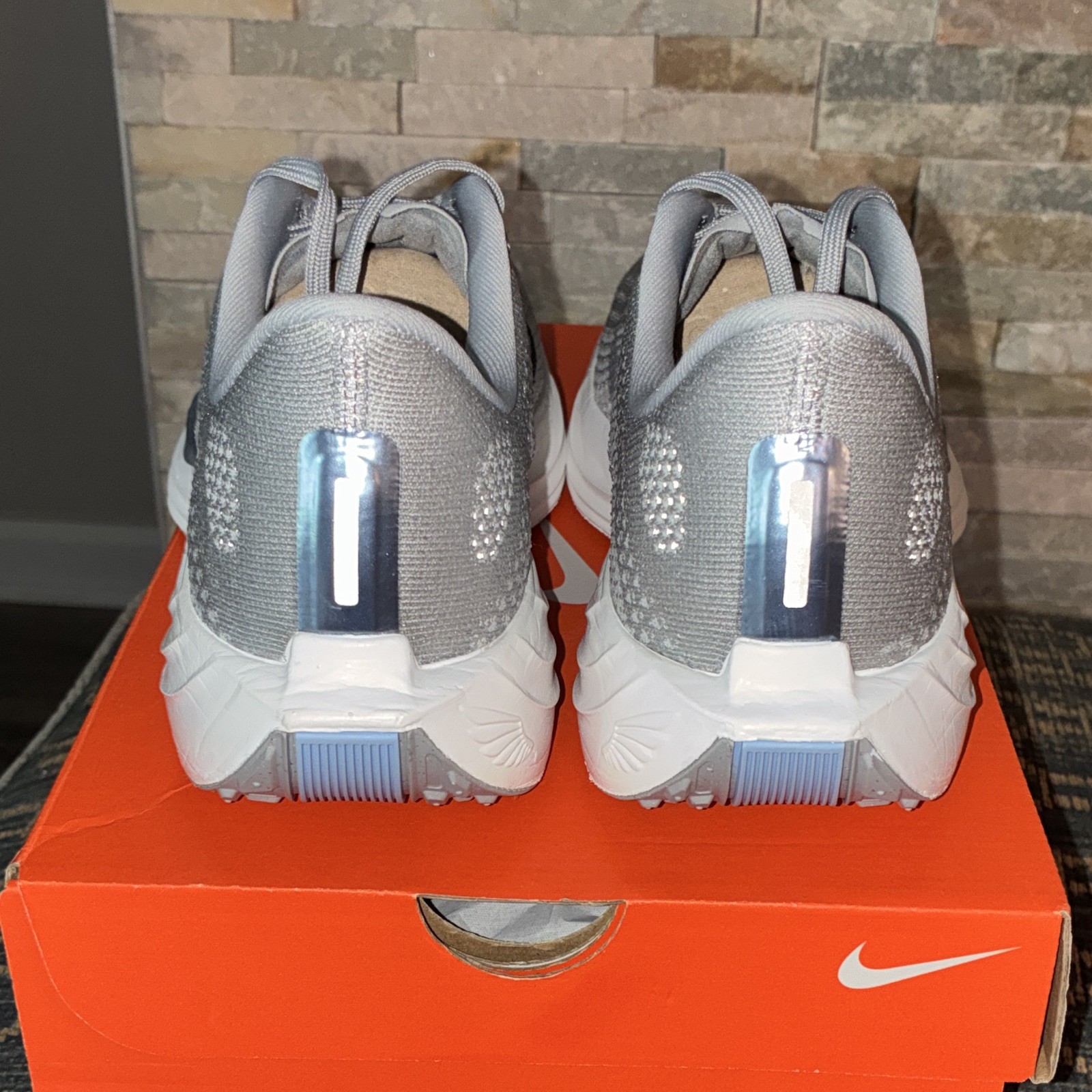 Nike Pegasus Plus Photon Dust Cool Grey Light Smoke Grey FQ7261-004 2025