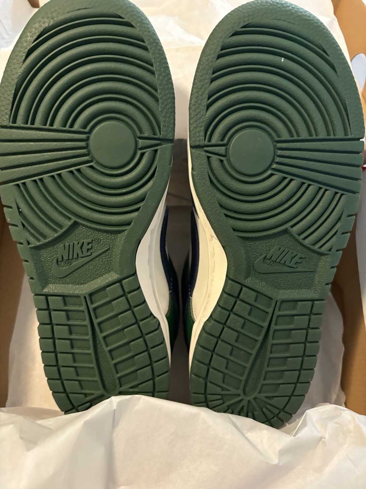 NIKE DUNK LOW GORGE GREEN WOMEN’S