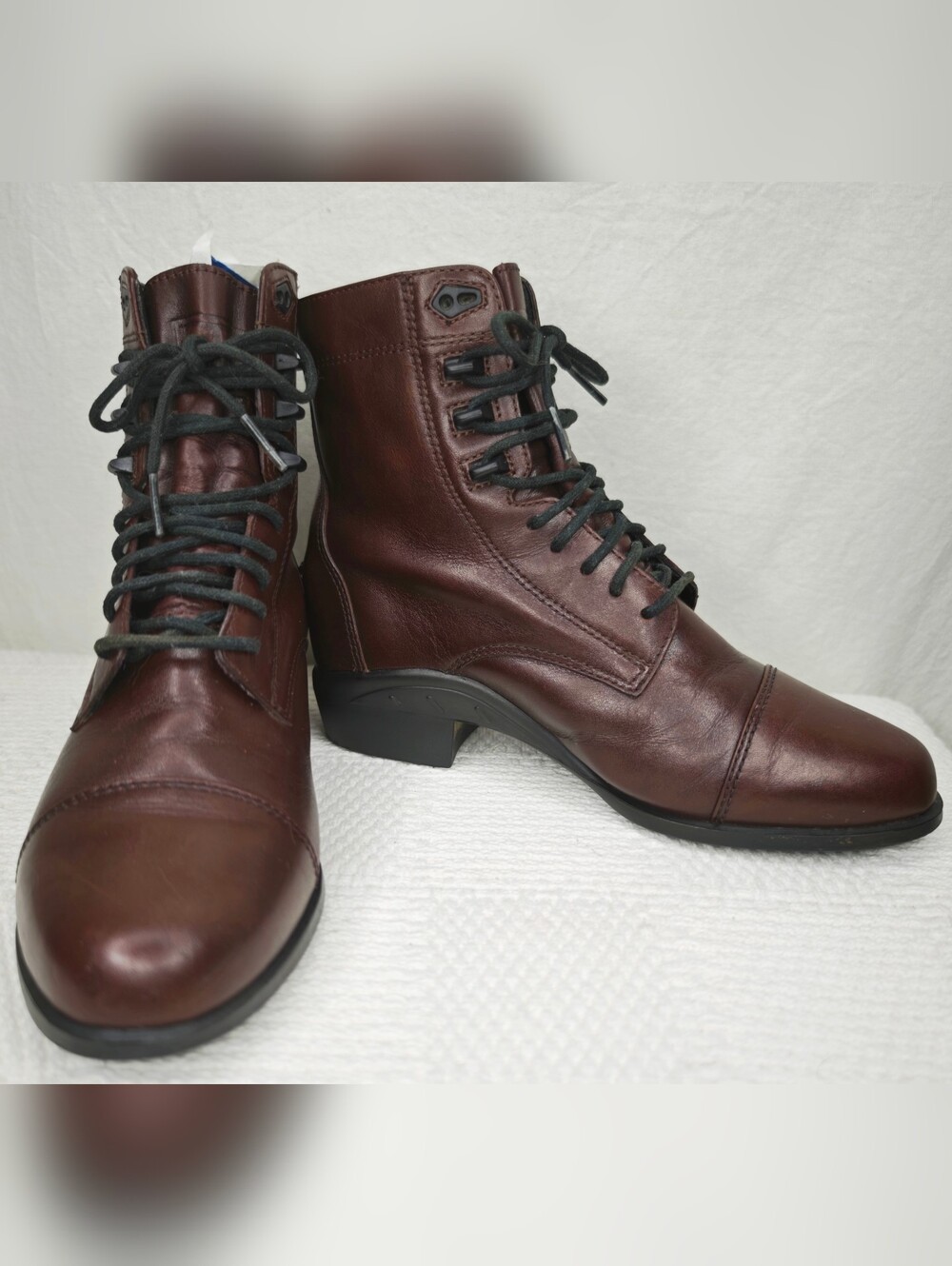 Ariat Performer Pro Equestrian lace up boots