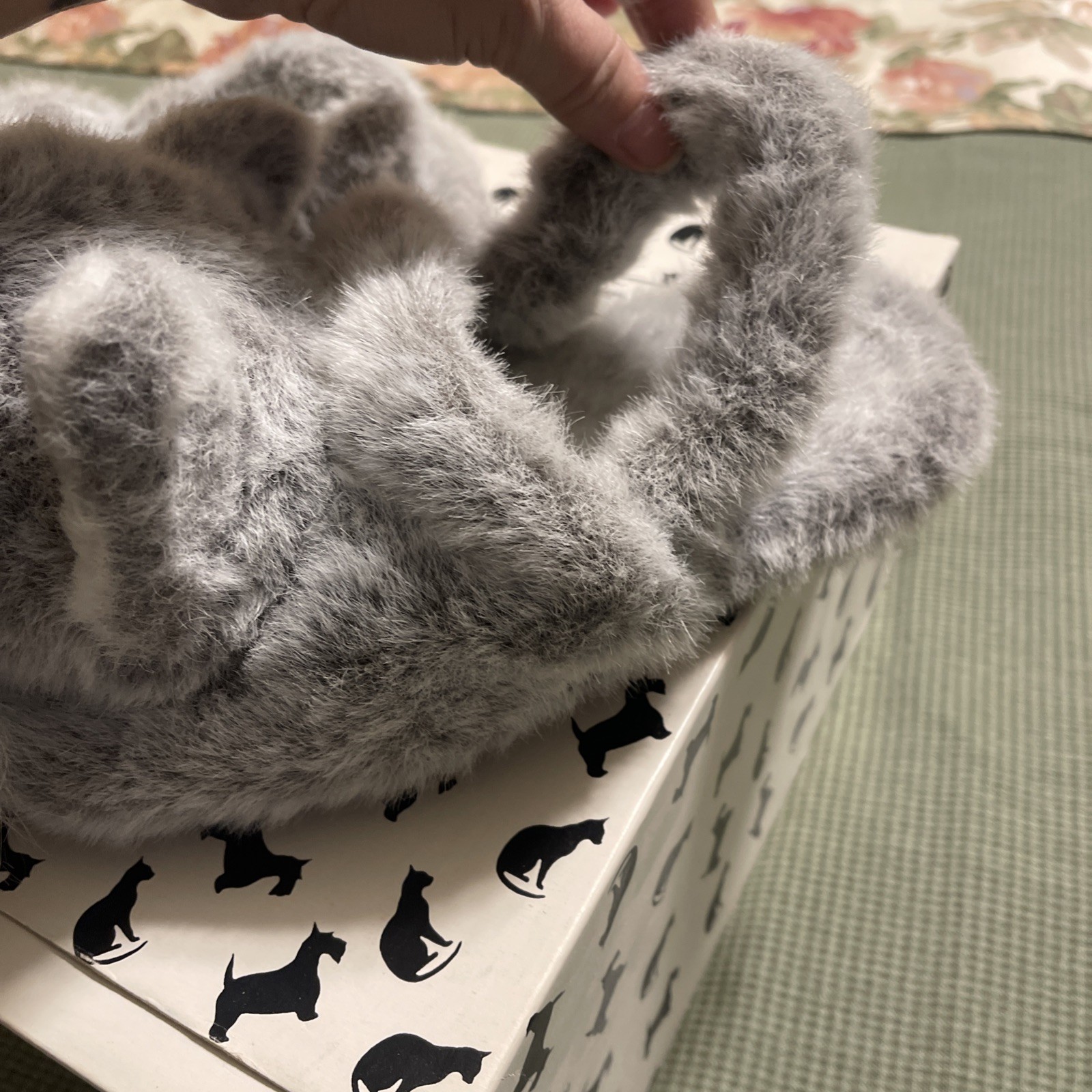 1990 Slipper King L. A. California Pedigree Slippers Schnauzer One Size