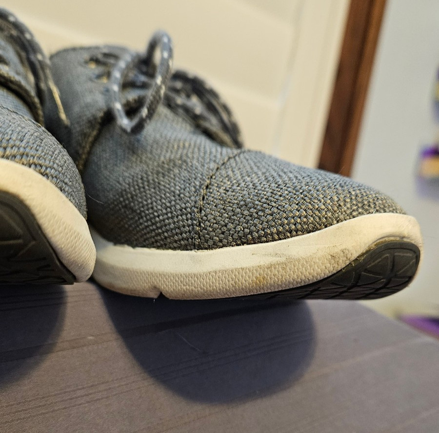 TOMS Del Rey Lace-Up Sneakers | Womens 6.5