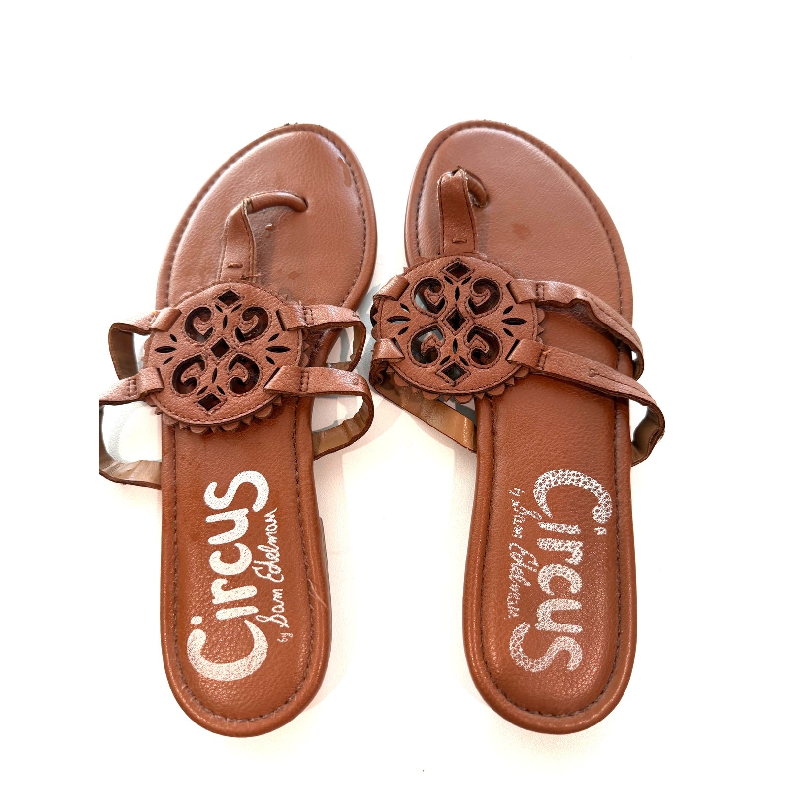 Circus by Sam Edelman Canyon Sandals Womens 9 Brown Medallion Thong Slides