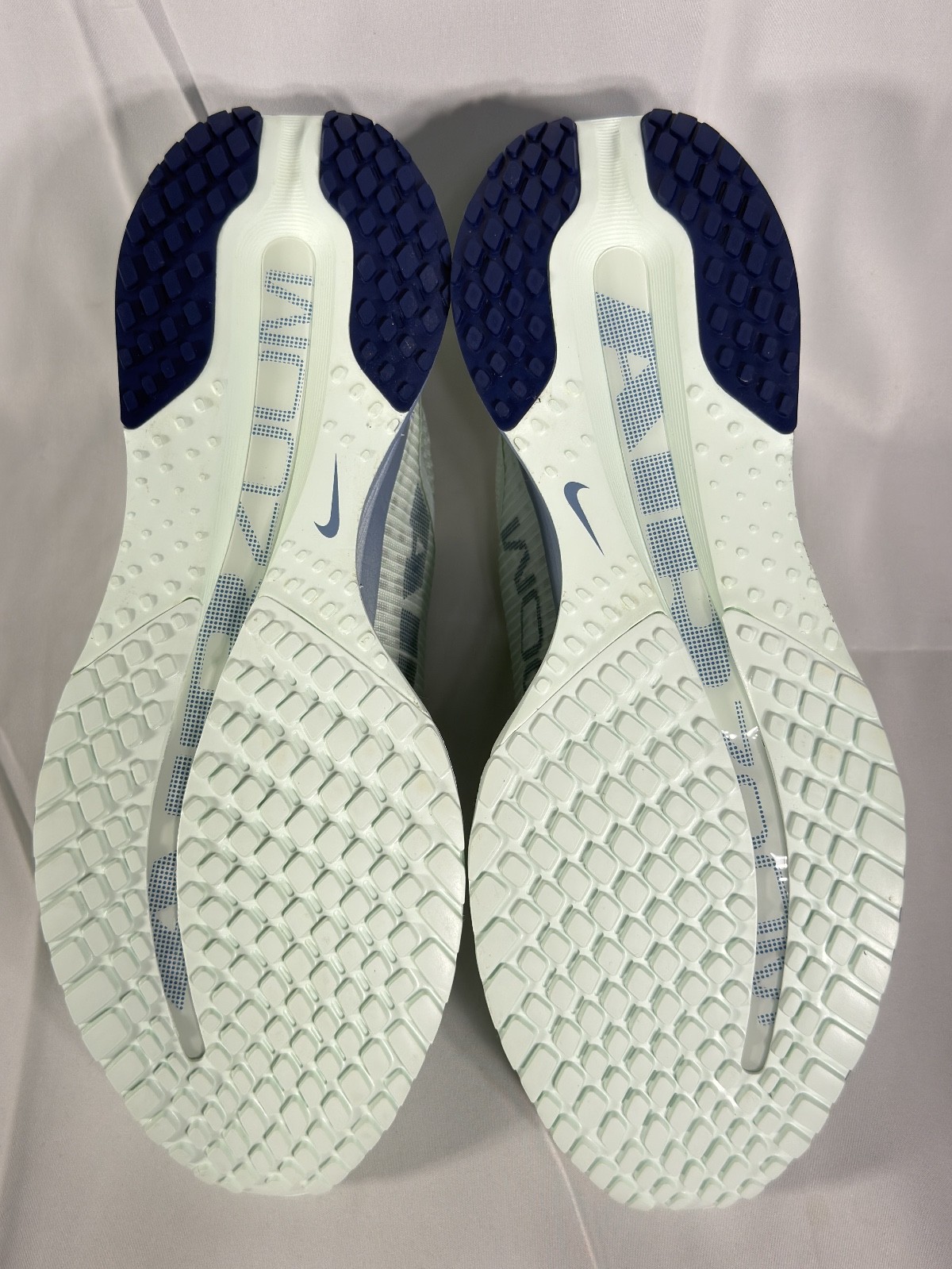 Nike Pegasus Premium Barely Green Blue Void Shoe Women’s Size 10 HQ2593-301 NEW