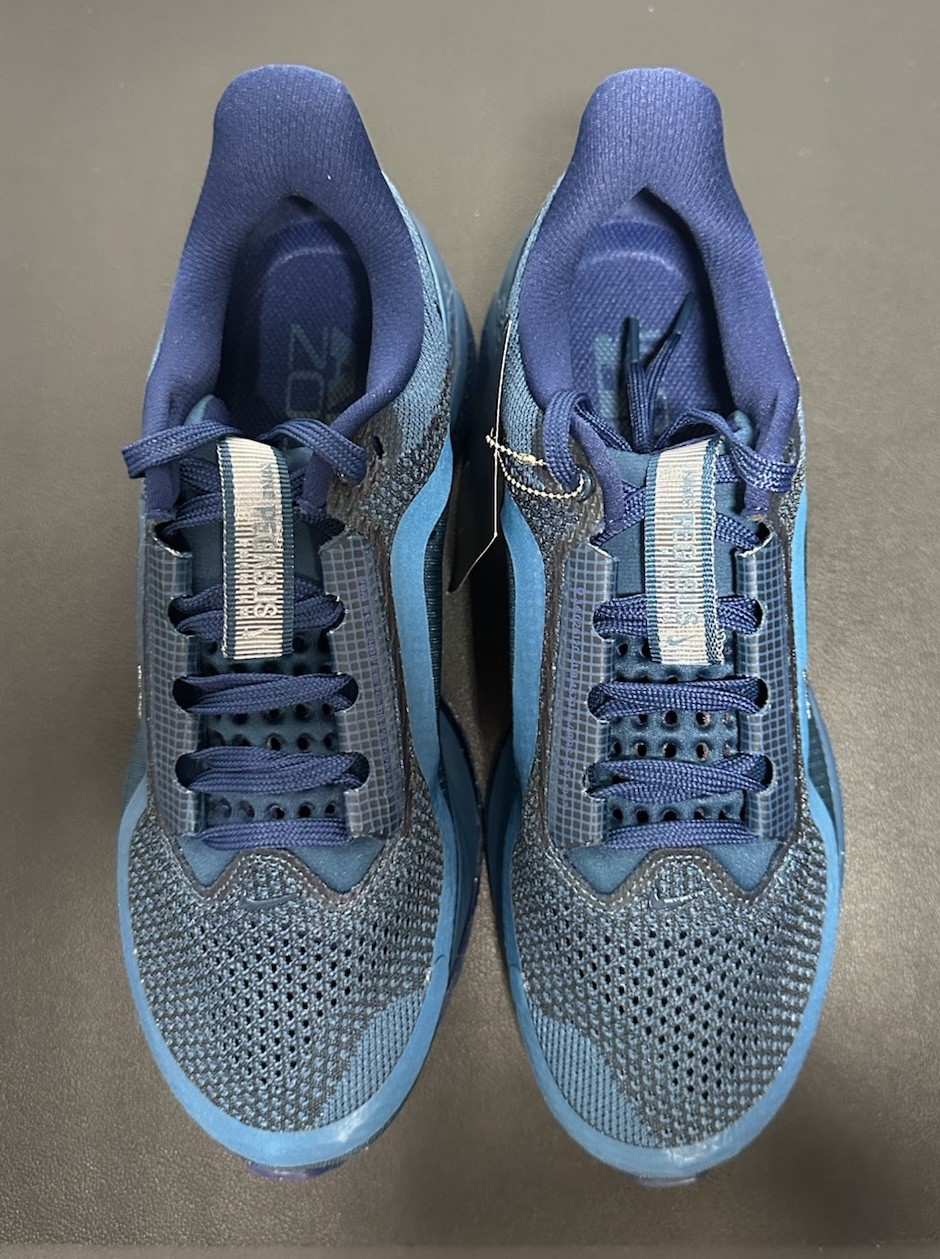 Nike Pegasus Premium Swarovski® Crystals Blue IM7384 499 Women’s Size 8, No Lid