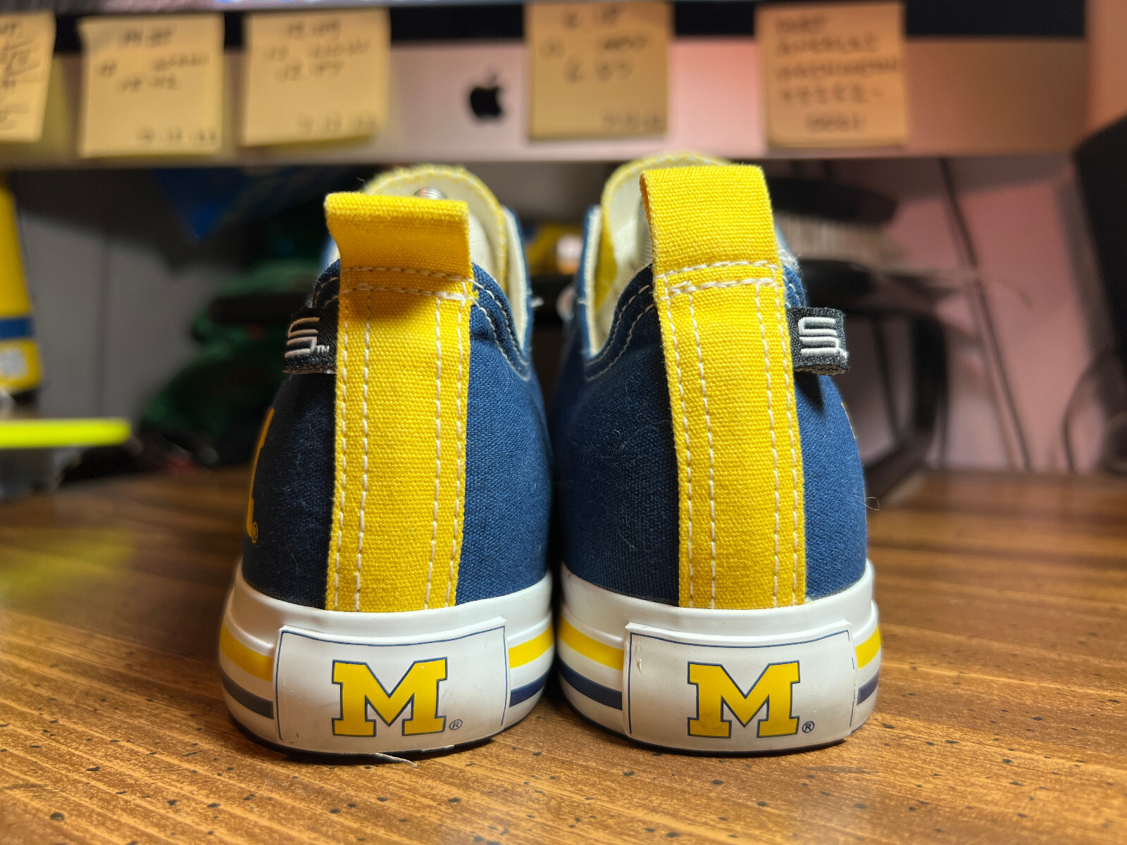 SKICKS University of Michigan Low Canvas Skate Sneakers Maize & Blue Women Sz 8M