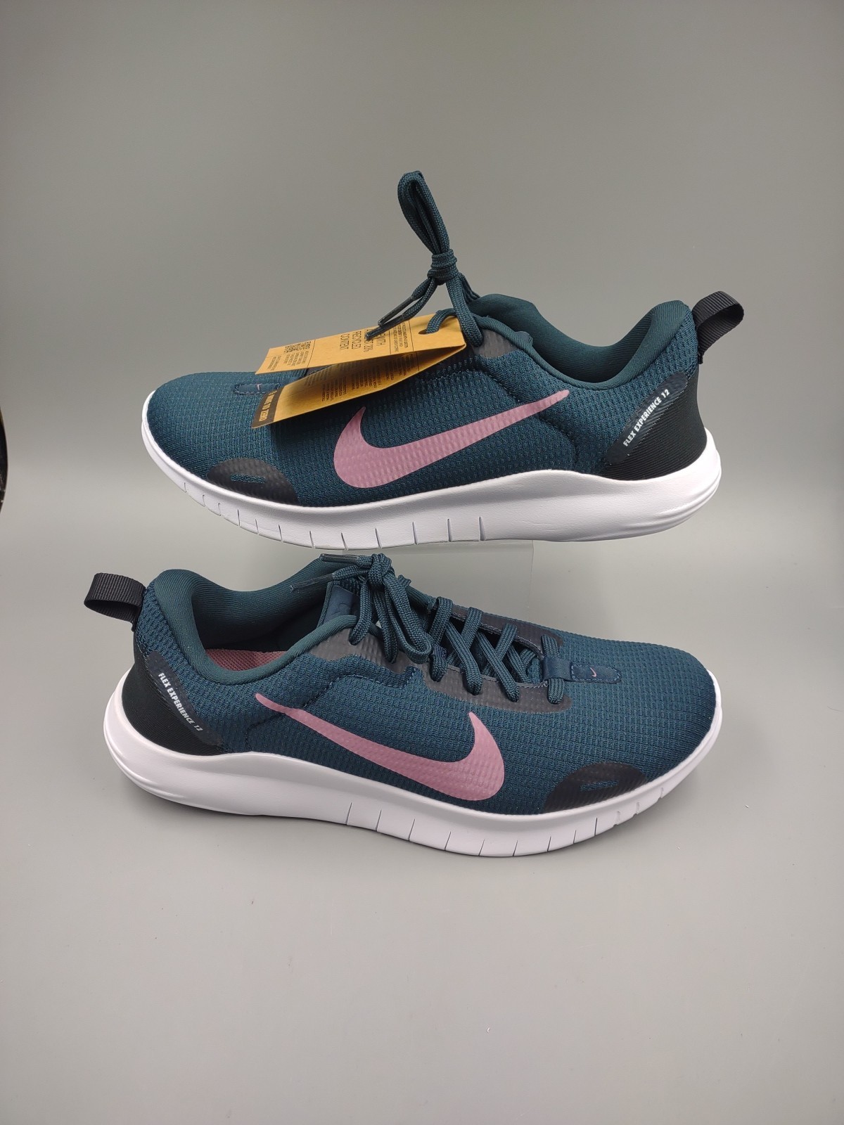Nike Flex Experience Run 12 ~ DV0746-401 ~ Women’s 11