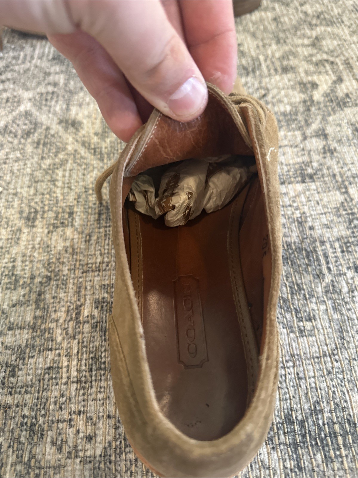 Coach Canyon Suede Blucher Shoes Sz 8 M FSJ205