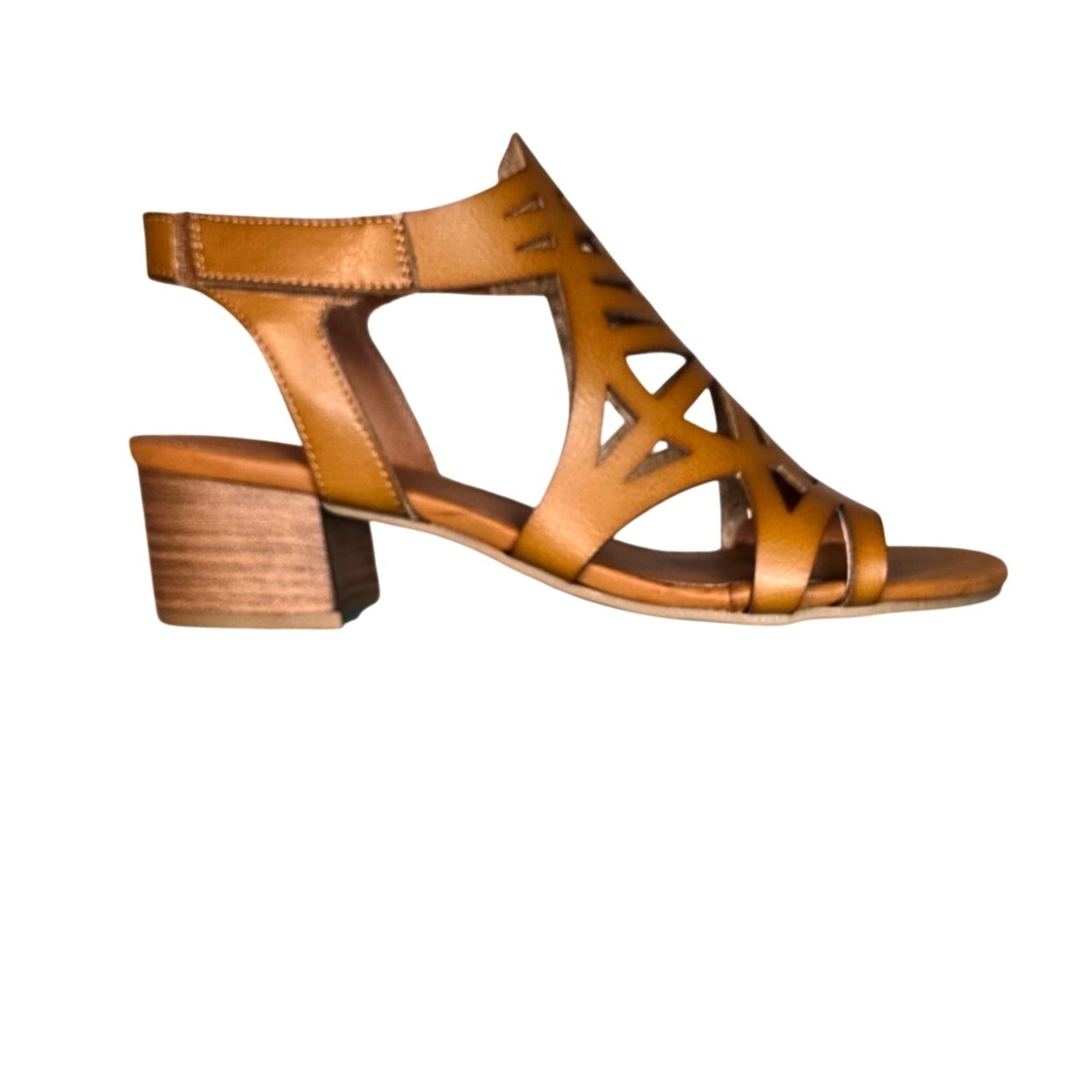 Baretraps Velvet Women’s Block Heel Brown Shoe 8.5 NIB