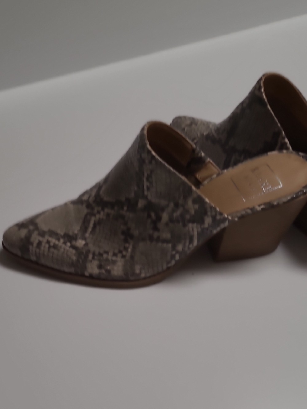 Kaari Blue Snake-Print Pointed Slip-On Mules in Beige and Gray – Size 7