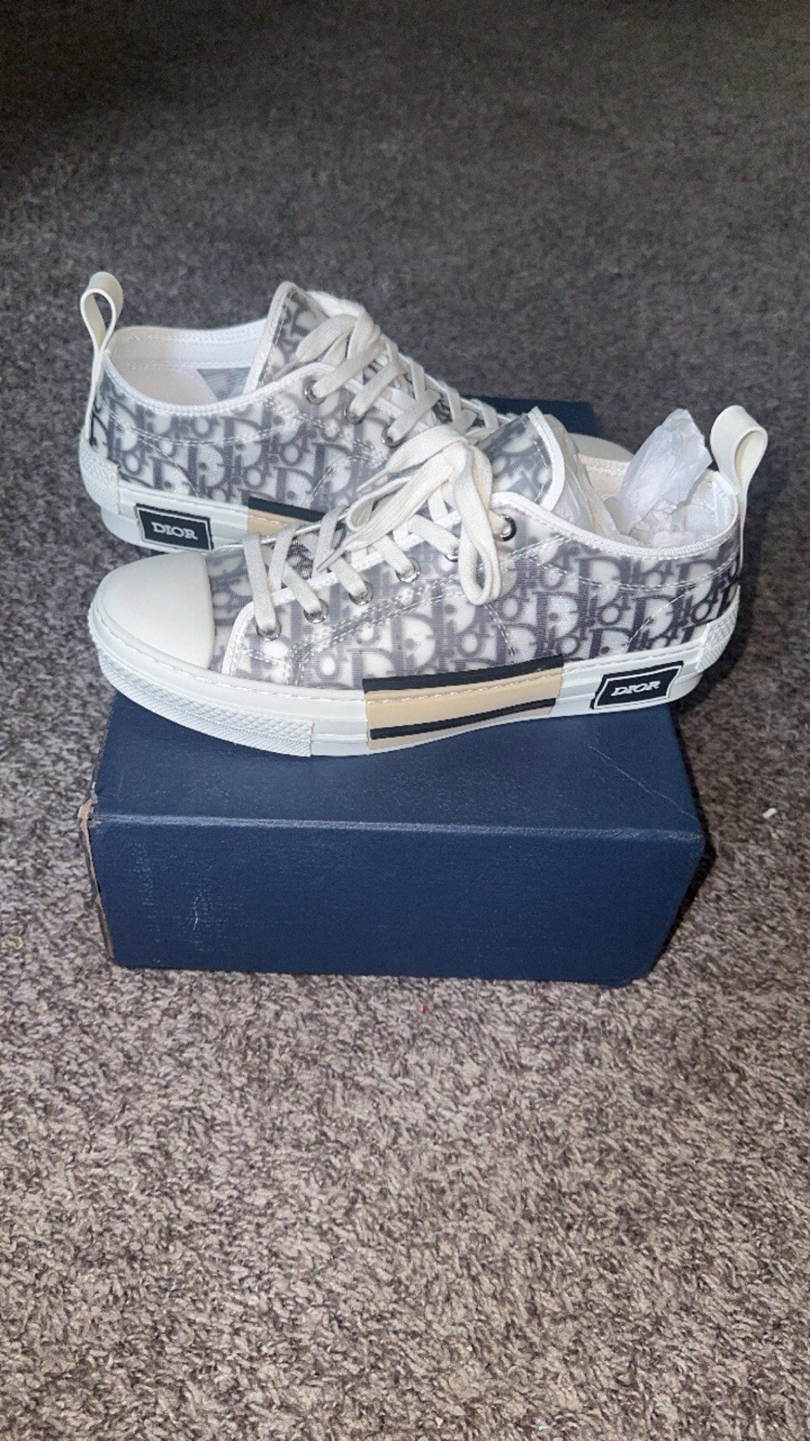 DIOR B23 Low-Top