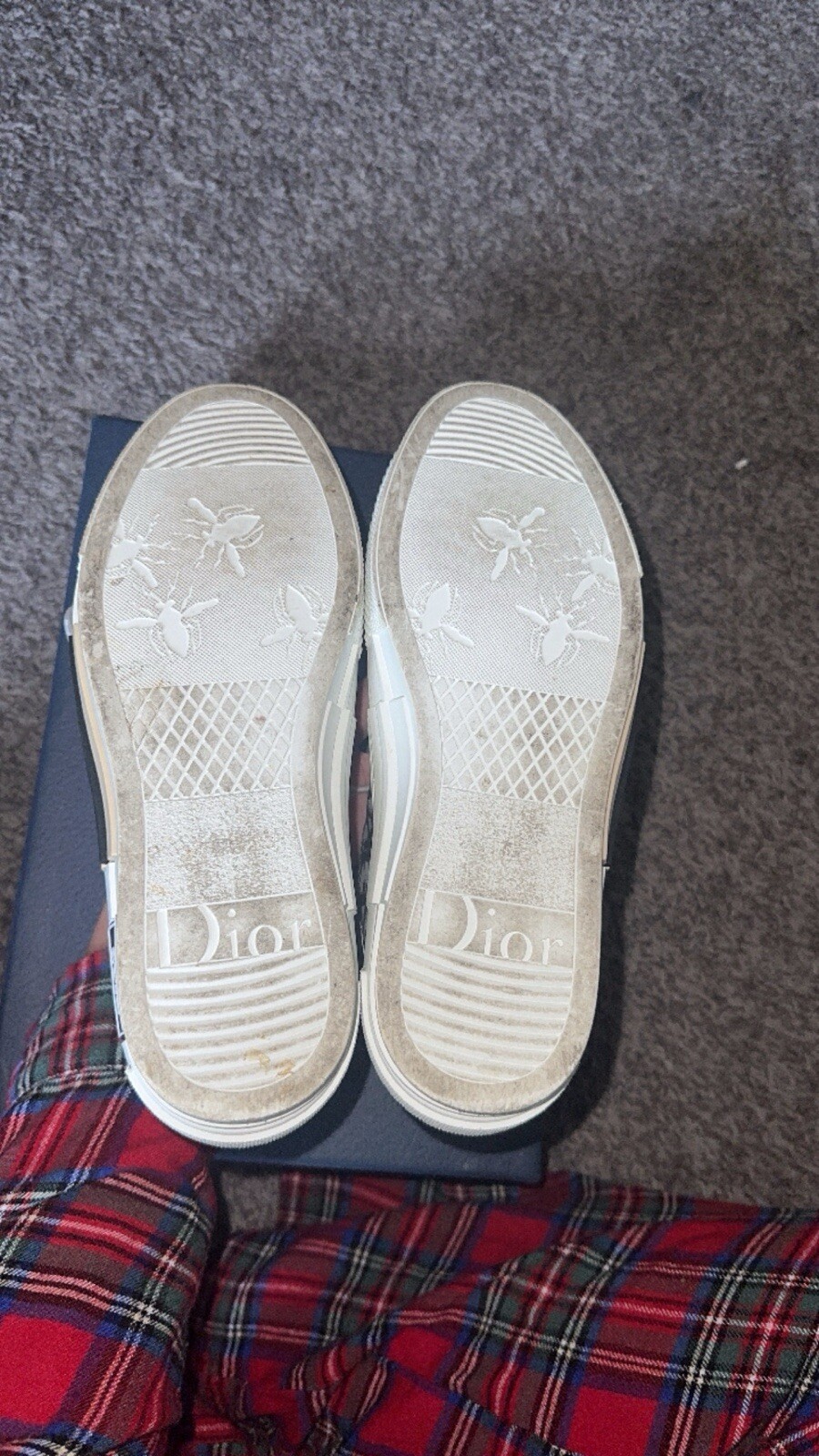 DIOR B23 Low-Top