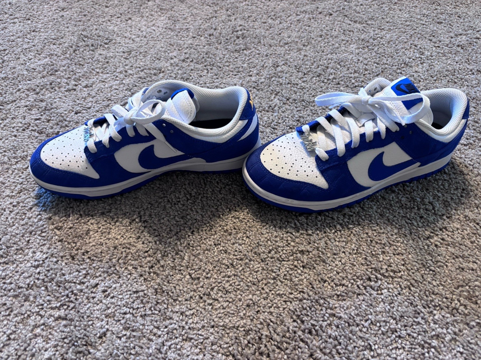 Nike women’s or Men’s Blue/White Colorblock Low Top Lace-Up FJ2253-901