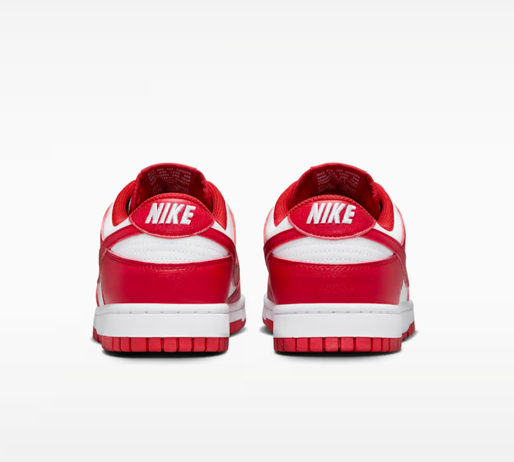 Nike Dunk Low Next Nature WHITE / UNIVERSITY RED Women’s Shoes