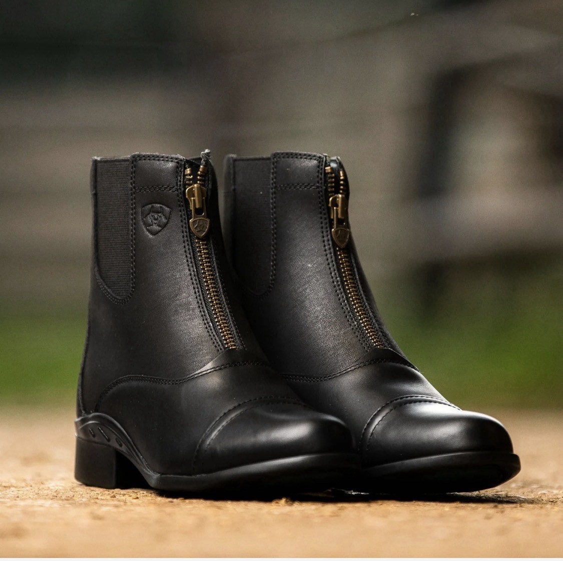 Ariat Women’s Scout Zip Paddock Boots Black Leather 9.5B Western Workwear
